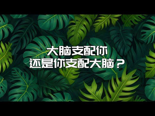 是你支配大脑，还是大脑支配你