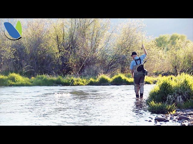 Fly fishing: How To fly fish Nymphs or Nymphing