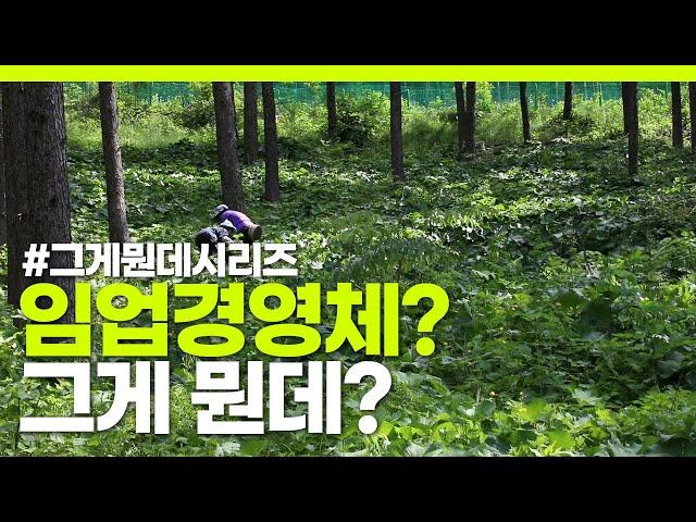 [#그게뭔데 ③​] 임업경영체? 임업경영체 등록하고 혜택받아가세요.