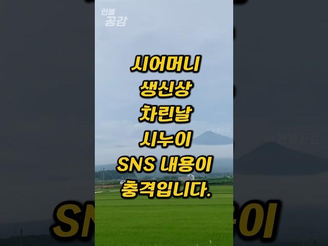 시어머니 생신상 차린날 시누이 SNS 내용이 충격입니다.#인썰공감 #인생썰 #사이다사연 #50대이야기 #감동실화 #인생역전