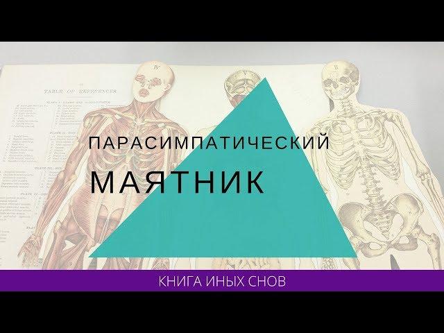 Парасимпатический маятник