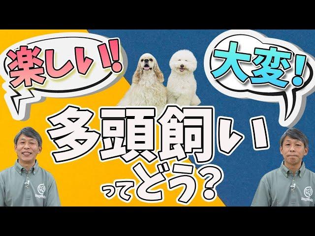 【犬との暮らし】多頭飼いについて