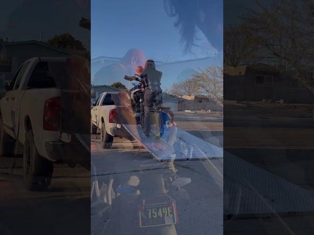 Two boxer GS’s in my pickup