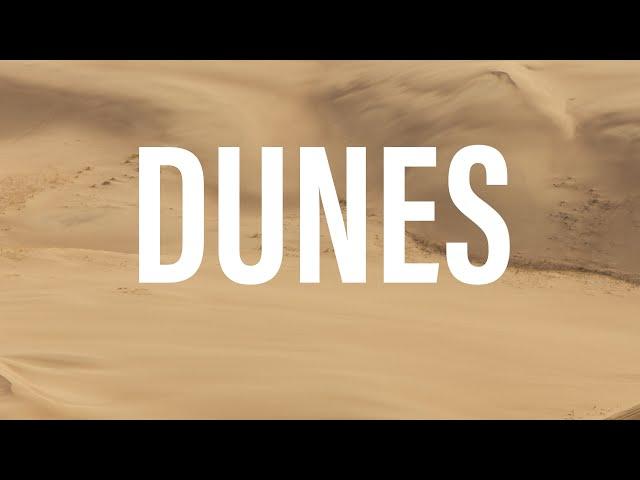 ROGUE INTENTIONS— Episode 2 // The Dunes