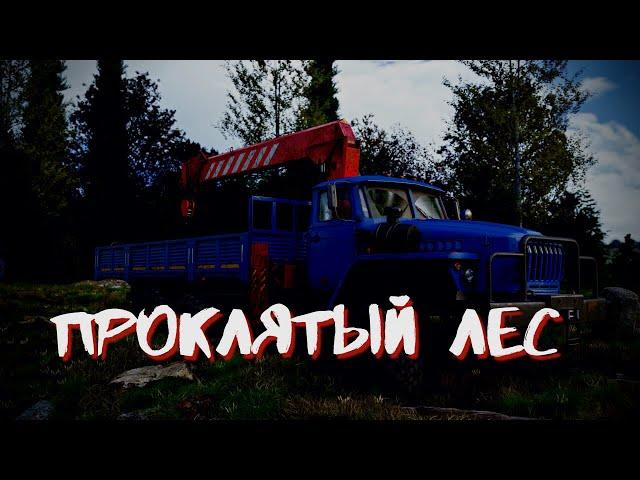 ПРОКЛЯТЫЙ ЛЕС Страшные истории на ночь Мистика Ужасы Истории у костра