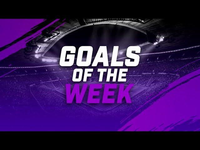 FIFA 19 Pro Clubs | Goals of the Season | AVPL Edition