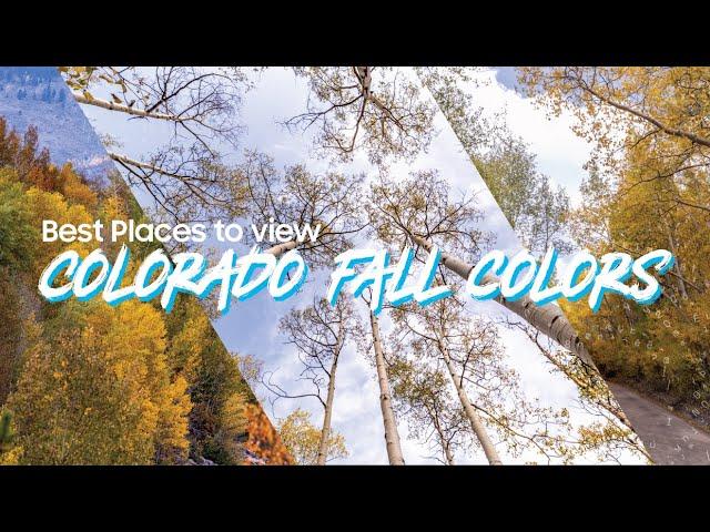 Best Places to see Fall Foliage in Colorado | Kenosha Pass | Boreas Pass | Dillon Reservoir