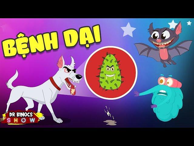 Tại sao cắn người Chó lại chết? | BỆNH DẠI | Hoạt Hình Khoa Học Vui