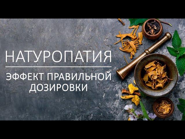 Натуропатия (naturopathy). Эффект правильной дозировки | Доктор Соколинский | Лекция в РИИН