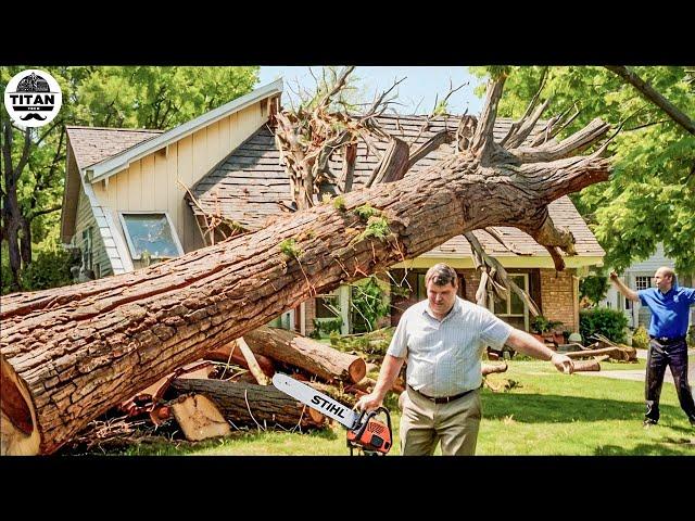 Dangerous Fastest Idiots Cutting Tree Fails Skill With Chainsaw | Tree Falling on Houses #5