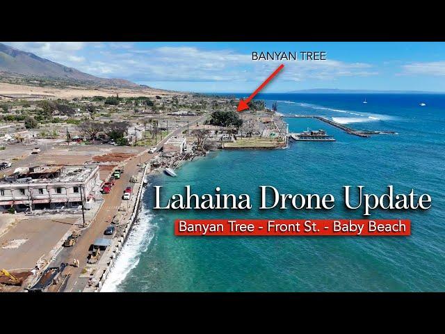 Lahaina DRONE Update - September 2024 - Banyan Tree, Front St., Baby Beach Area