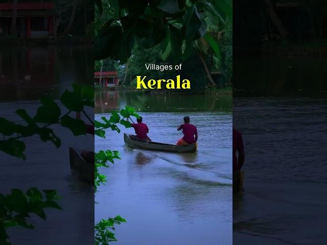 Rural Villages Of Kerala #nature #alleppy #travel #trending