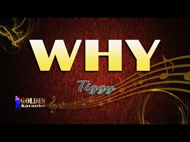 Why By Tiggy  (The Golden Karaoke)