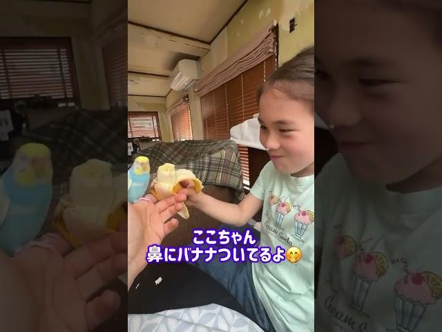 バナナ美味しいセキセイインコ