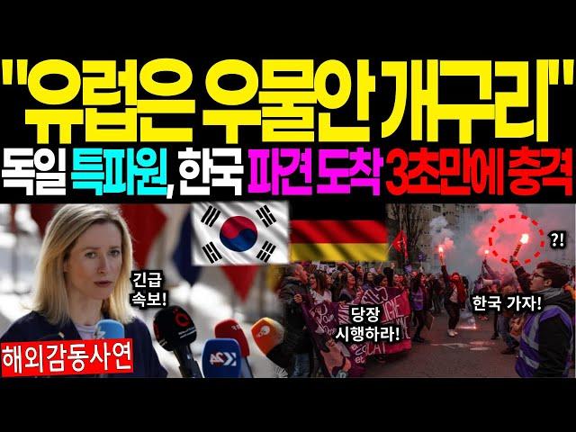 [해외감동사연]"유럽은 우물안 개구리" 독일 특파원, 한국 파견 도착 3초만에 충격!  #해외감동사연 #감동 #해외반응