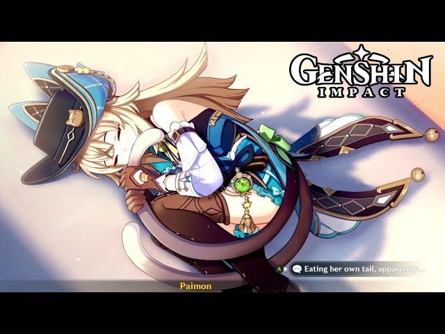 Kirara Eating her Tail Cutscene  Summertide Scales & Tales Genshin Impact 4.8