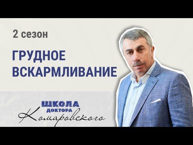 Грудное вскармливание - Школа доктора Комаровского