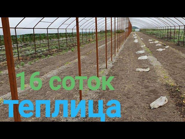 Супер Теплица на 16 соток!!! Для ягодных и овощных культур. 150×11 метров.