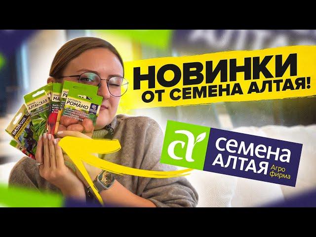 НОВИНКИ ОТ СЕМЕНА АЛТАЯ! Картофель из семян, новинки томатов, перцев, черемша из семян