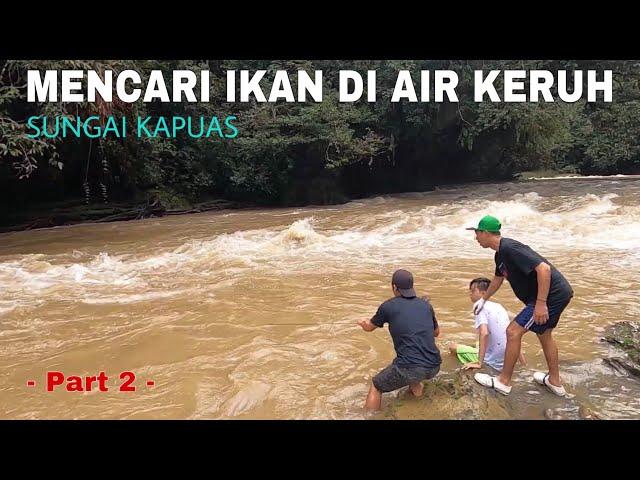 NEKAT ‼️ MENCARI IKAN DI SUNGAI KAPUAS SAAT AIR KERUH - KAPUAS HULU ( Part 2 )