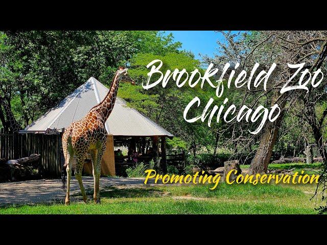 Brookfield Zoo Chicago (Brookfield, Illinois) - Season 2 | Episode 17