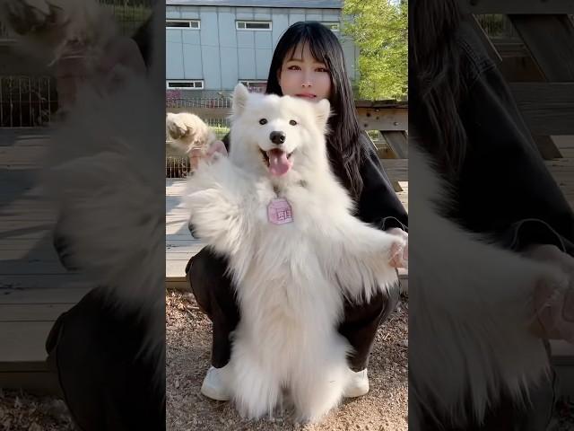 그냥 귀엽다는 말로는 설명 안 됨..