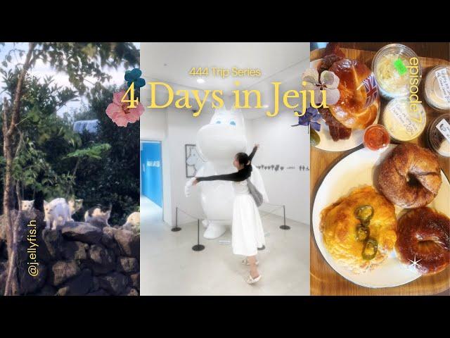 KOREA VLOG | 4 days in Jeju, Moomin museum, cafes, waterfalls, night market, so much korean food