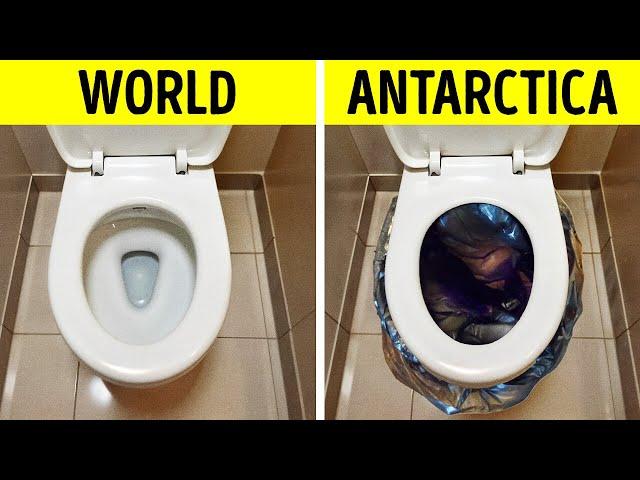 Strange Things You’ll Never Believe Are Banned in Antarctica