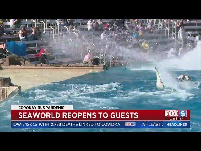 SeaWorld Draws Crowds On Reopening Day