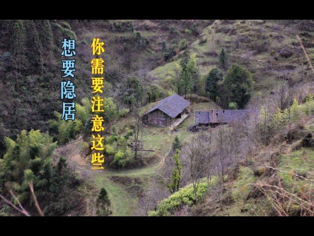 隱居一年後，給想要隱居的人的一點建議【隱居生活】