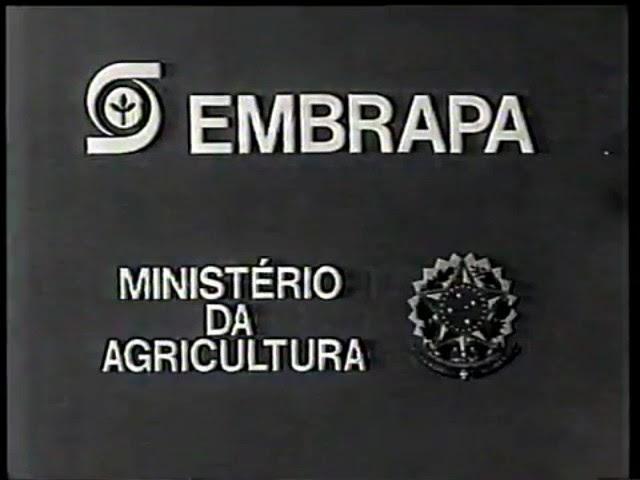 Intervalo Comercial Bambalalão TV Cultura (RTC) Parte 1/3 - 1980