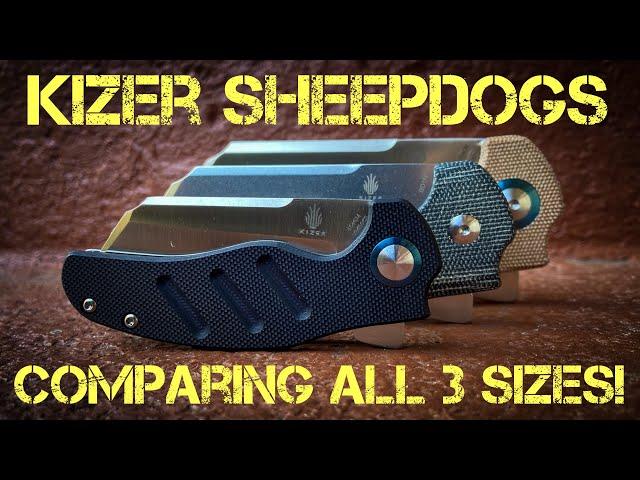 Comparing the Kizer Sheepdogs XL, Regular and Mini!!