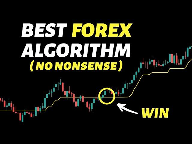 I Tested No Nonsense Forex Algorithm 100 Times ( 100% Winning ? )