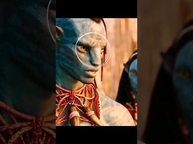 They have the same brand !!! #avatar2 #avatarthewayofwater #avatar #loak #tsutey