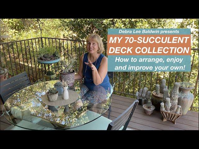 Debra's 70-Succulent Potted Deck Collection