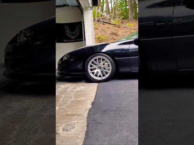 Looking Good Rolling Out 