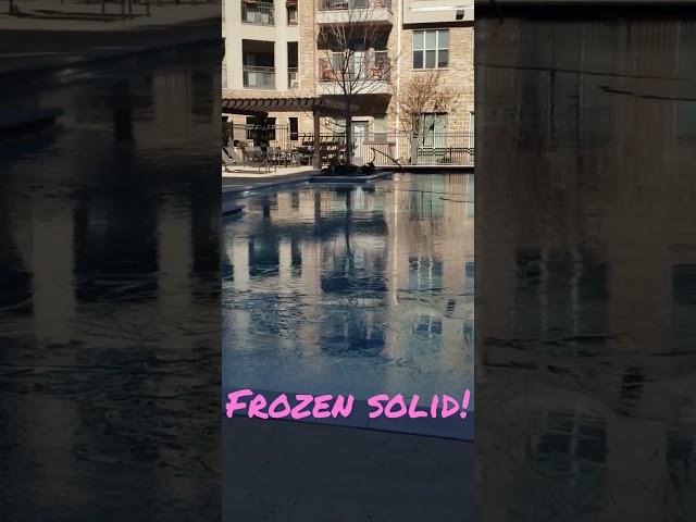 Texas swimming pool frozen solid!