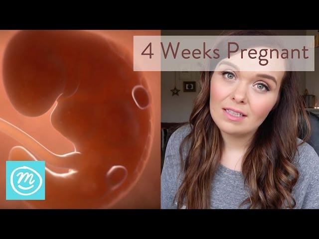 4 Weeks Pregnant: What You Need To Know - Channel Mum