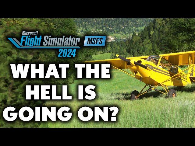 Microsoft Flight Simulator 2024 - WHAT THE HELL IS GOING ON?