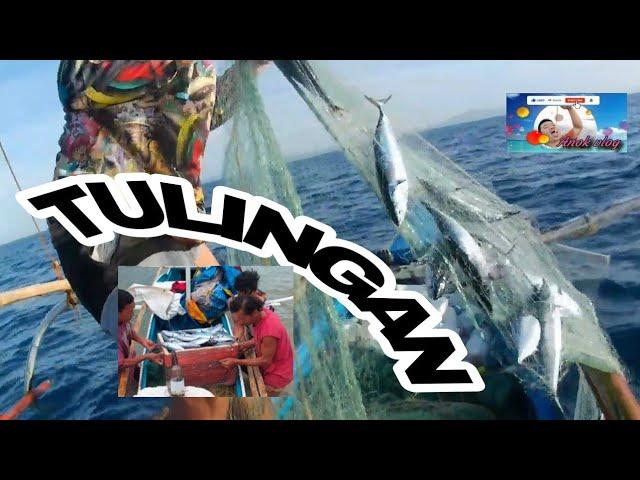 BOHOL / TULINGAN FISHING