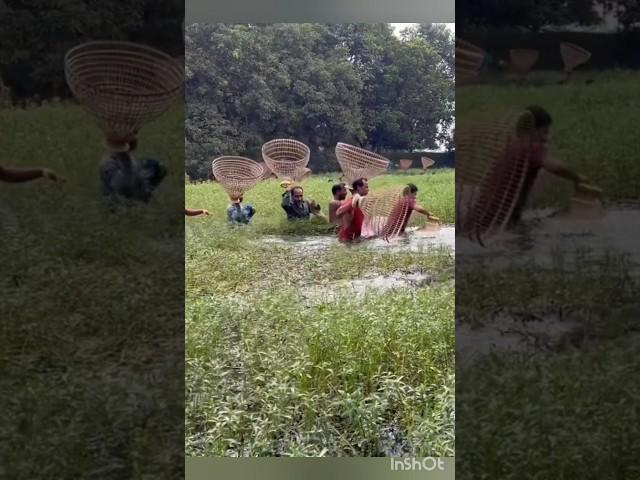 villagers traditional fishing video amazing #shorts #fishing #abdulsamifishing