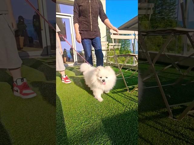 할머니랑 아빠랑 아린이랑 솜이랑 남양주 주말나들이 #가족일상 #남양주 #까페 #주말 #행복한시간 #happy #love #family