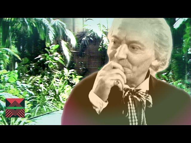 Doctor Who & The Troubled Gardener - A Chosen Chimp Doctor Who Story