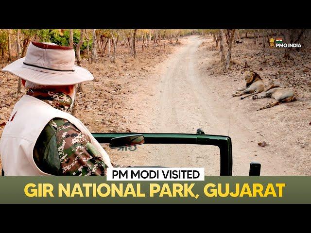 Prime Minister Narendra Modi visits Gir National Park, Gujarat