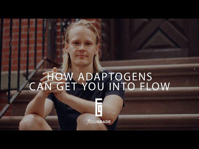 Flowgrade Show #21: Tero Isokauppila on how Adaptogens can get you into Flow