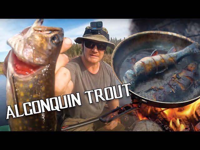 Portaging Deep into Algonquin Park’s Interior for Native Trout Fishing & Camping