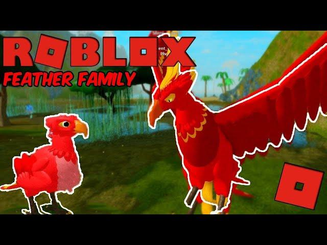 Laz plays Feather Family