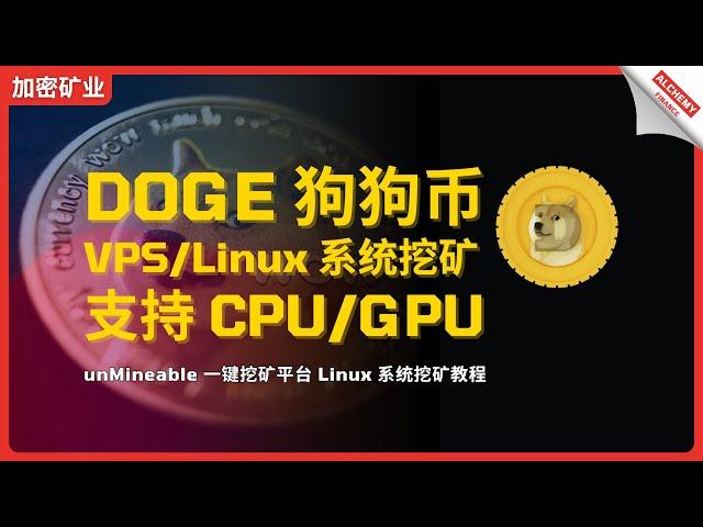 【挖矿教程】DOGE狗狗币Linux挖矿攻略，unMineable Linux系统挖矿教程，支持CPU、GPU最新挖矿教程，HOW TO MINE DOGECOIN 2024，马斯克最爱的狗狗币