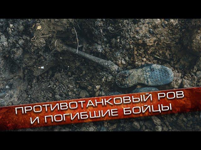 Полевые новости #7 | Противотанковый ров и погибшие в нём | EE88