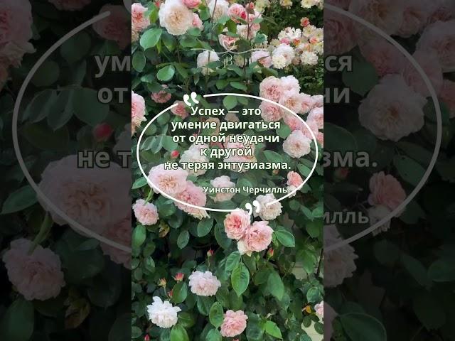 Успех - это